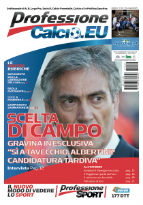 Copertina 29-2014